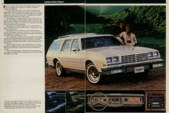 1981 Buick Full Line-18-19.jpg